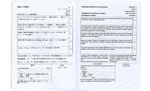International Permit Sample 5